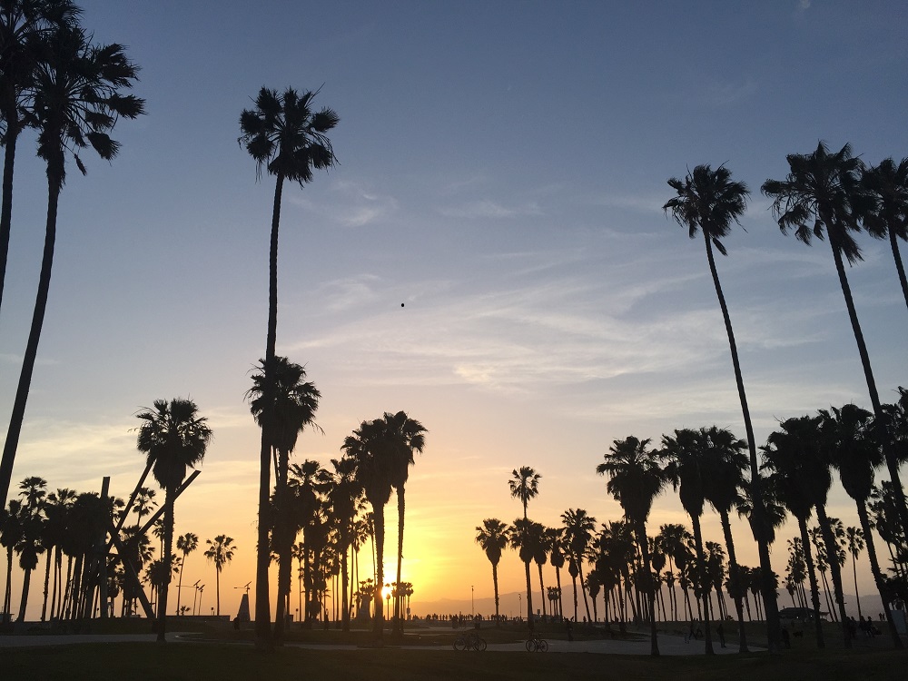 venice beach la