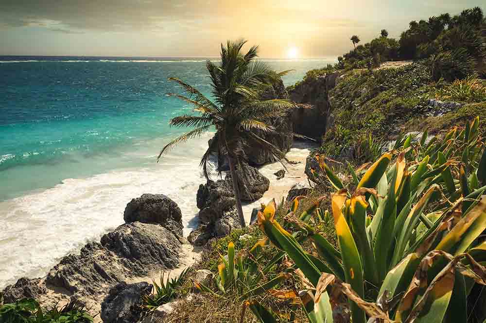 Tulum beach with palm tree, best place for digital nomad